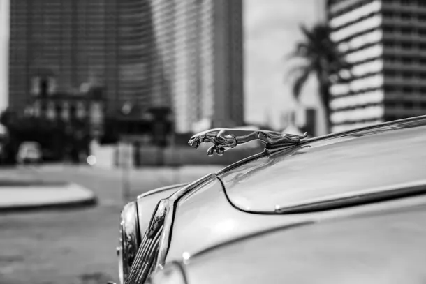 Casino Extra Android/iOS App